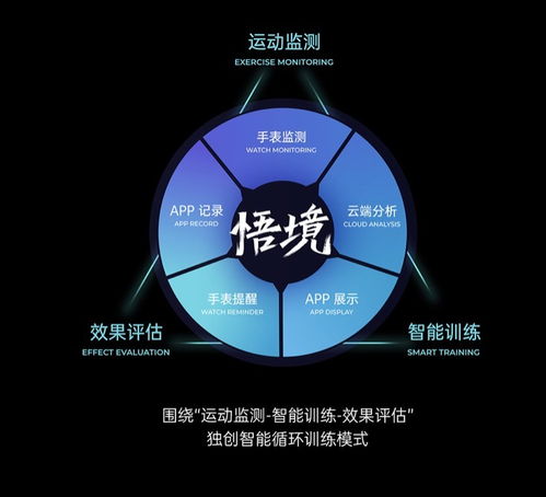 聚焦如駿運(yùn)動手表火爆上線 強(qiáng)國概念引資本角逐，大數(shù)據(jù)服務(wù)成核心引擎